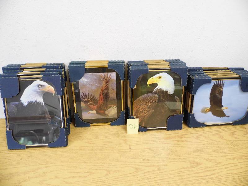 17 Eagle Pictures