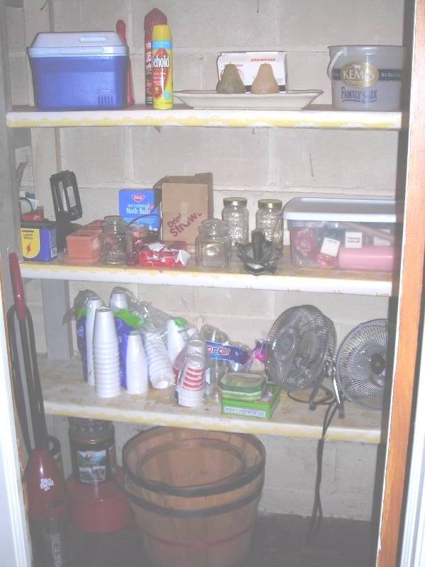 lot 223 image: Contents In Closet Downstairs (Dirt Devil, Mini cooler, Bushel Baskets, Fans)