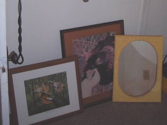 lot 226 image: 1-Mirror, 2-Wildlife Bird Pictures