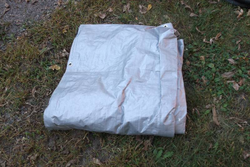 Tarp