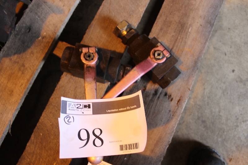 Lot of (2) Valve Shut-Offs.