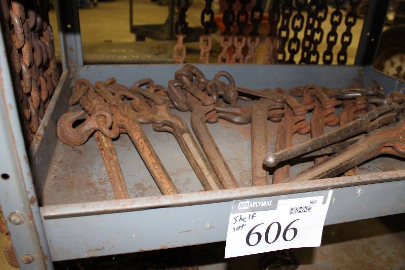 lot 606 image: Shelf Lot of Chain Binders.