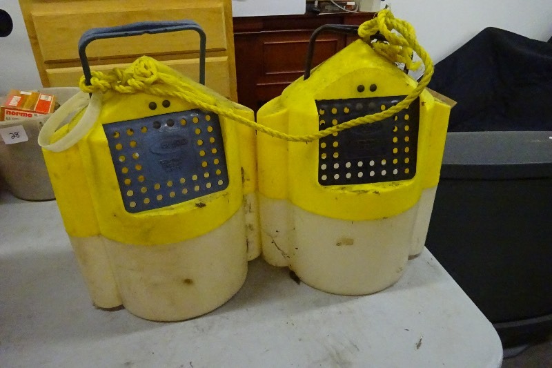 2 Minnow Buckets