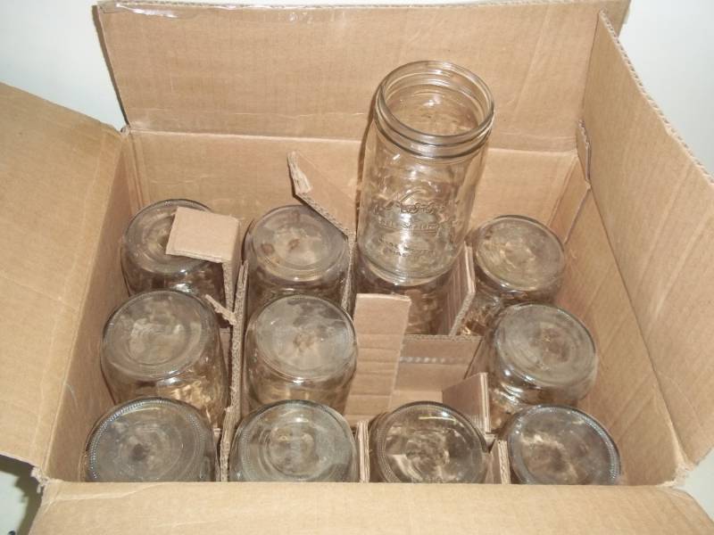 12 Wide mouth Quart canning jars