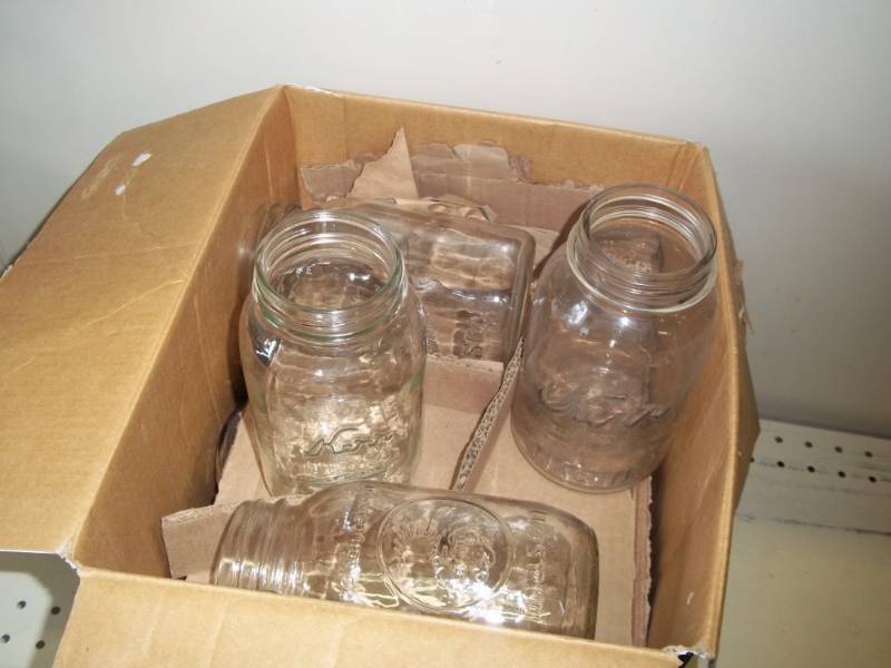 12 Regular Quart canning jars