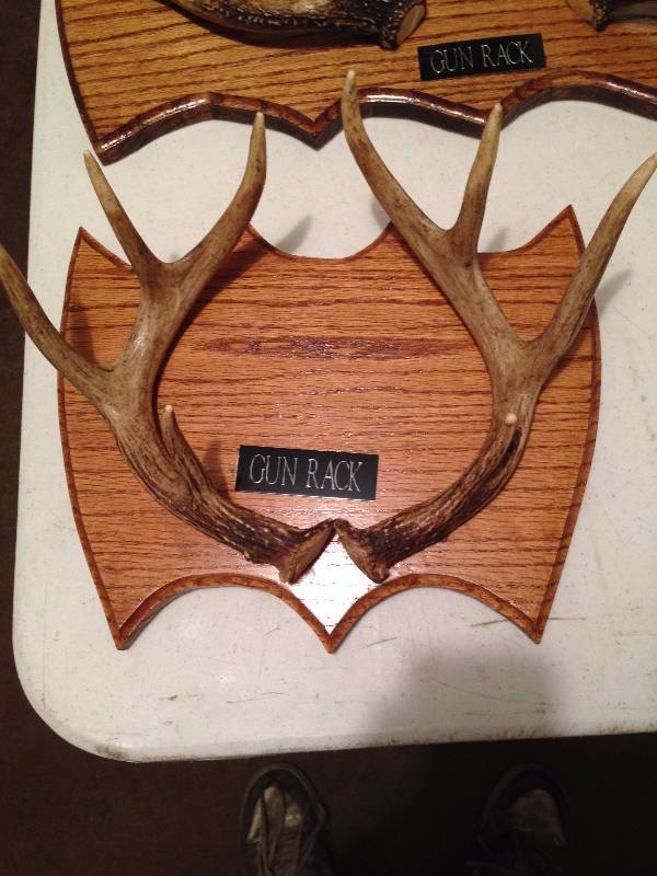 lot 5 image: Small Antler Gun Rack