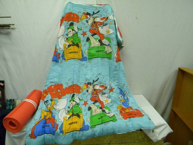 lot 305 image: Disney Sleeping Bag