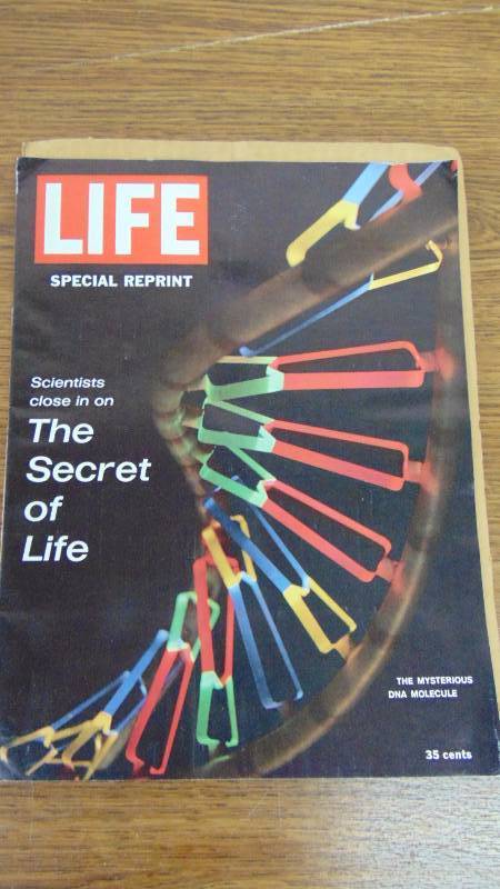 Life Special- The Secret of Life
