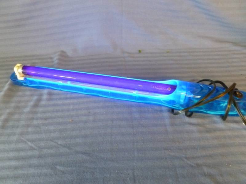 Black Light