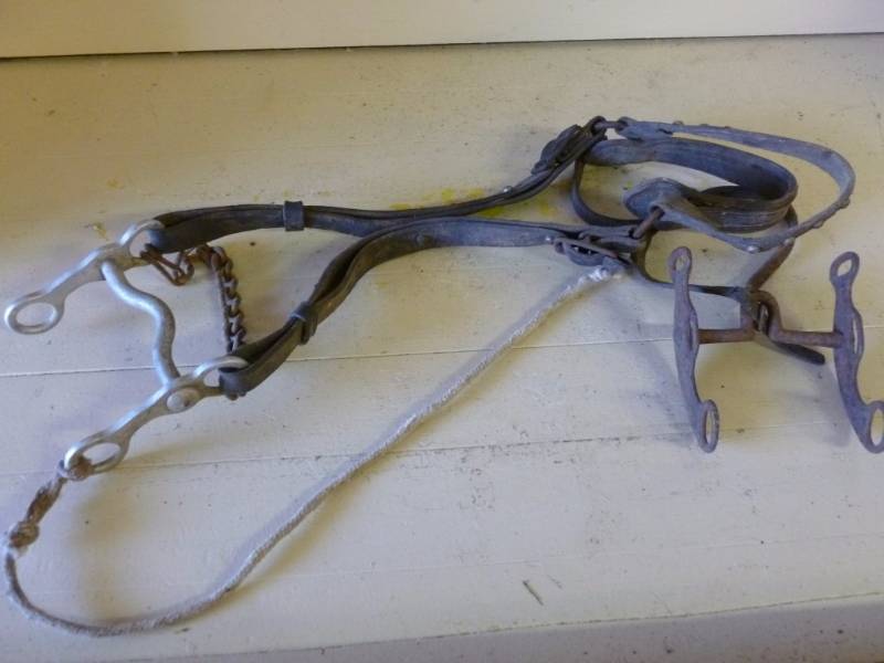 Vintage Horse Equipment