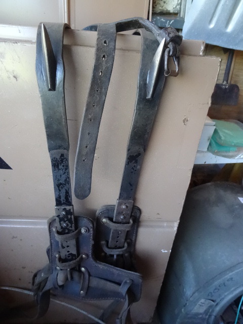 Ankle Strap  Climbing Spikes