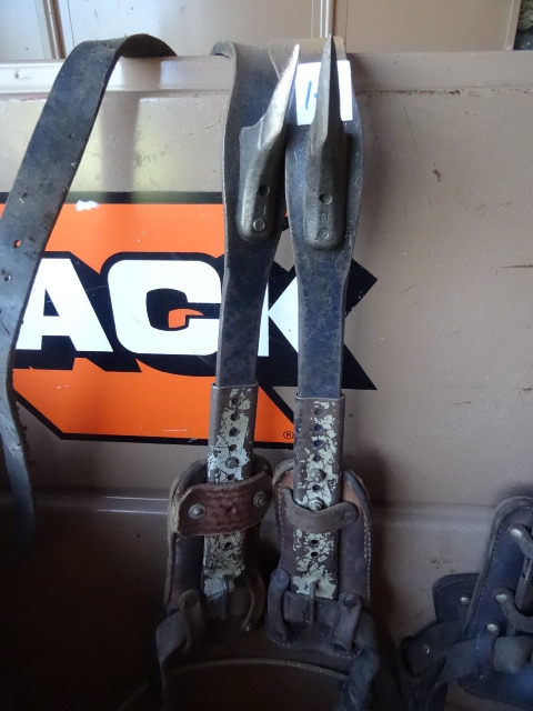 Ankle Strap  Climbing Spikes