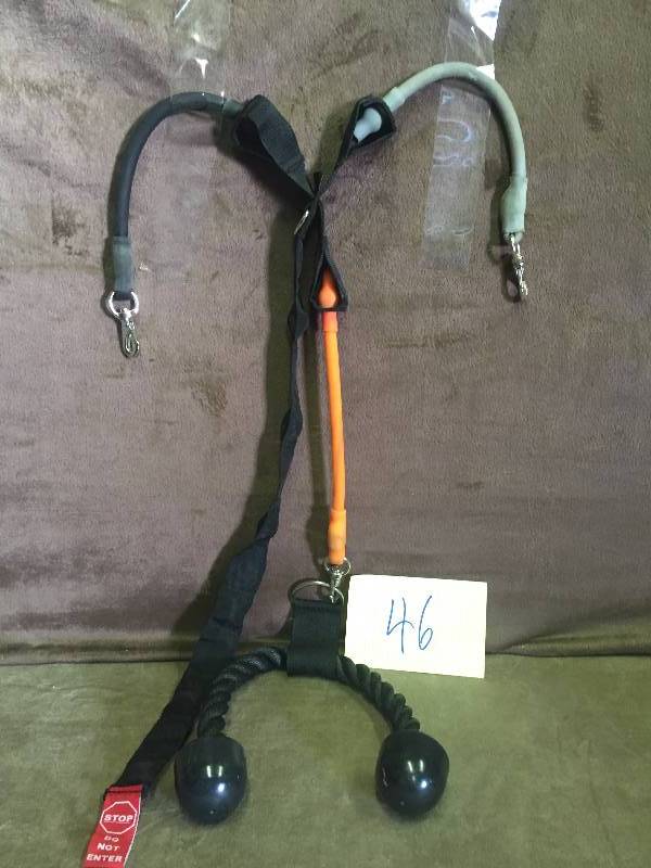 lot 46 image: Dog Bungee Toy- Large Dog