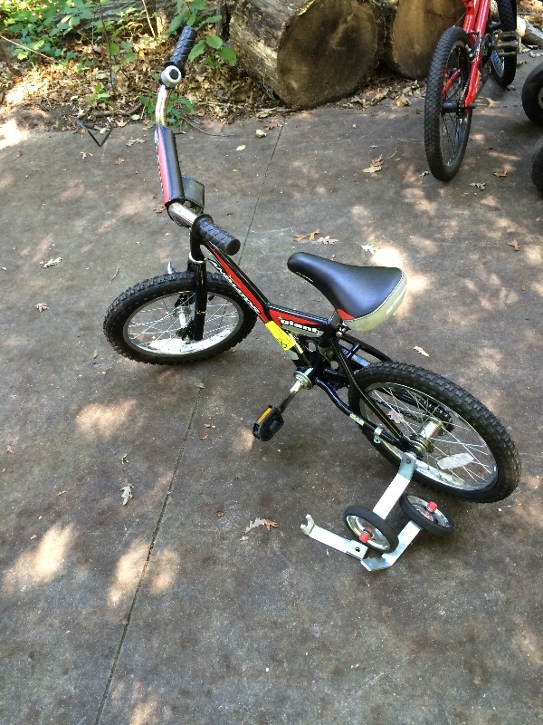 lot 20 image: Youth training bike  Animator Giant - includes training wheels. In great shape