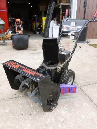 SnS Auctions # 180 Waiting for the snow
