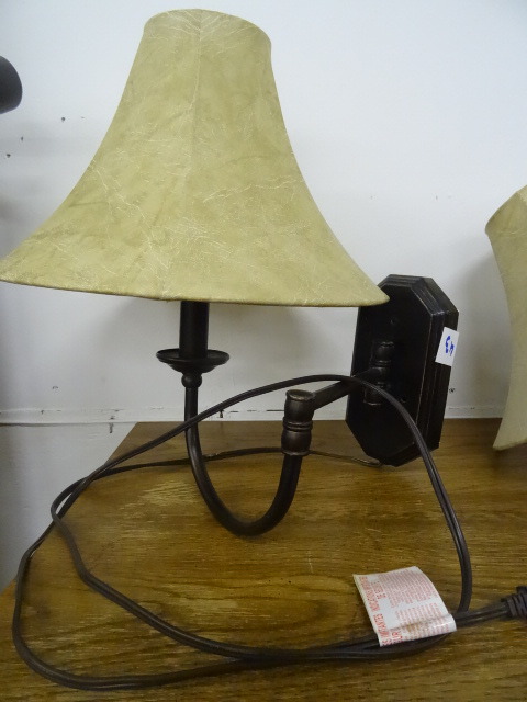 Adjustable Wall Mount Lamp
