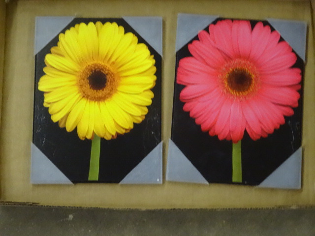2 Flower Wall Hangings