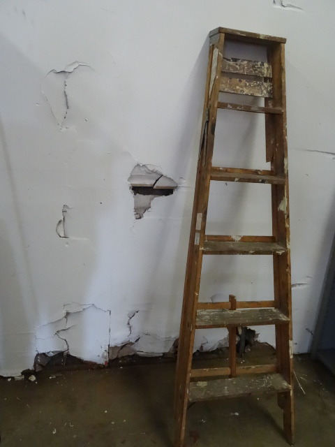 6 Wood Step Ladder