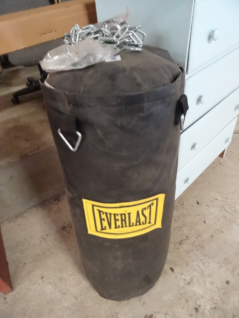 Everlast Punching Bags