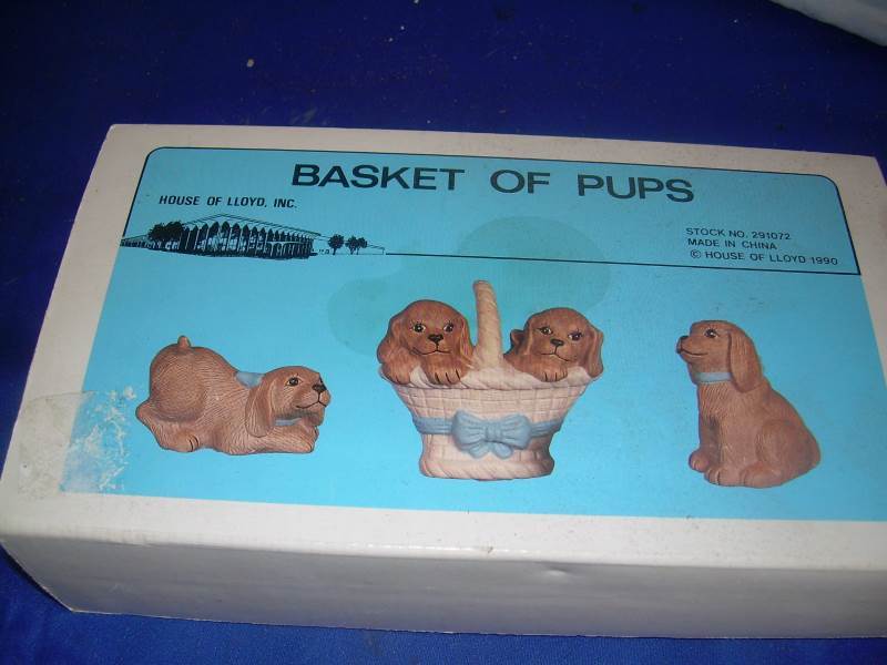 basket of puppys