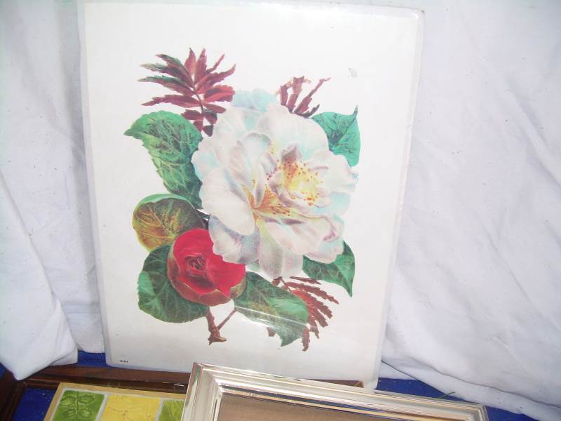 assorted picture frames