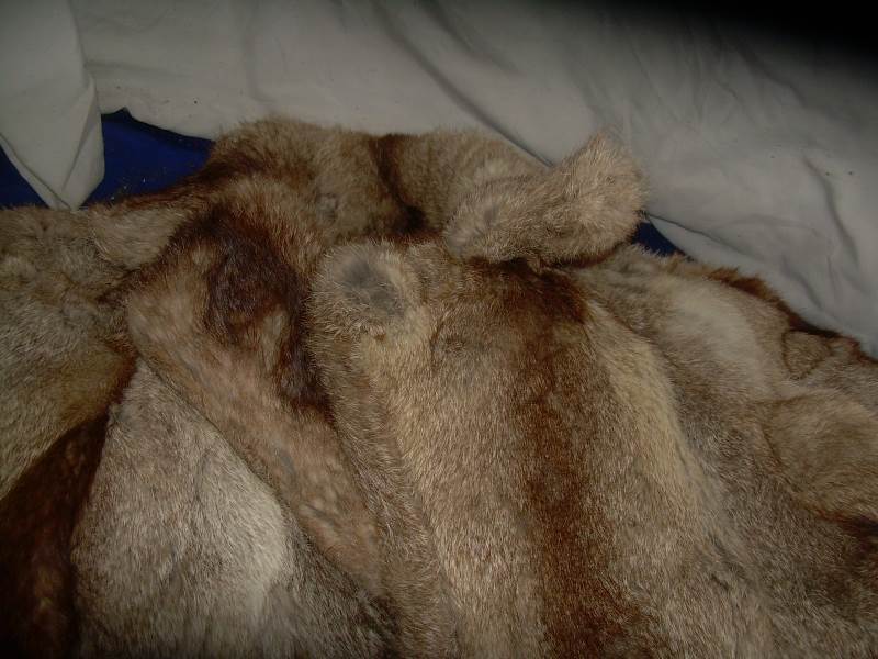 mademoisel fur jacket