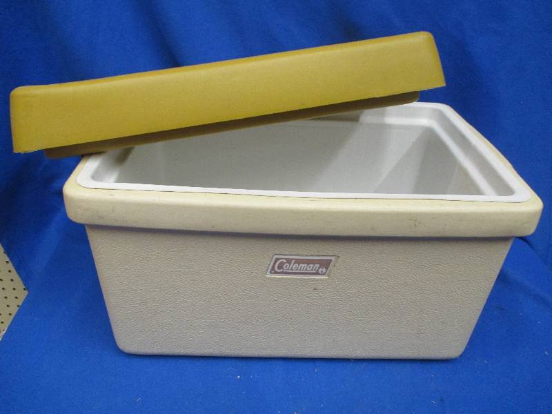Large Coleman cooler, great for pic...