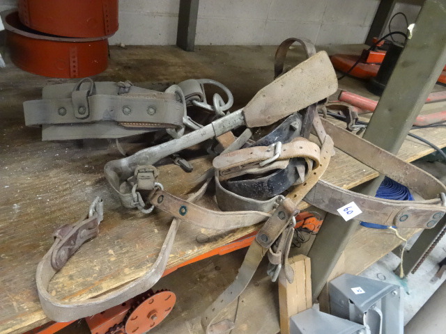 lot 60 image: Pole Climbing Spikes