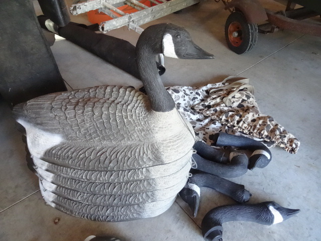 Goose decoys