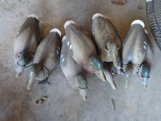 Duck decoys