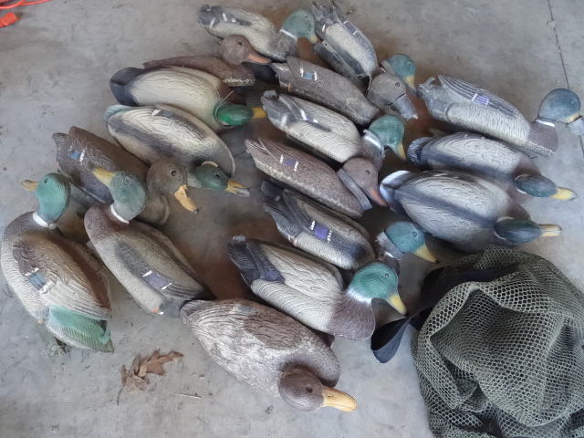 Duck decoys