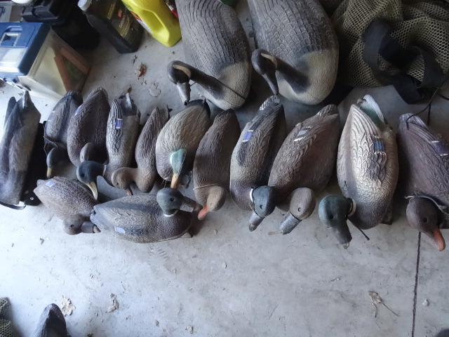 Duck decoys