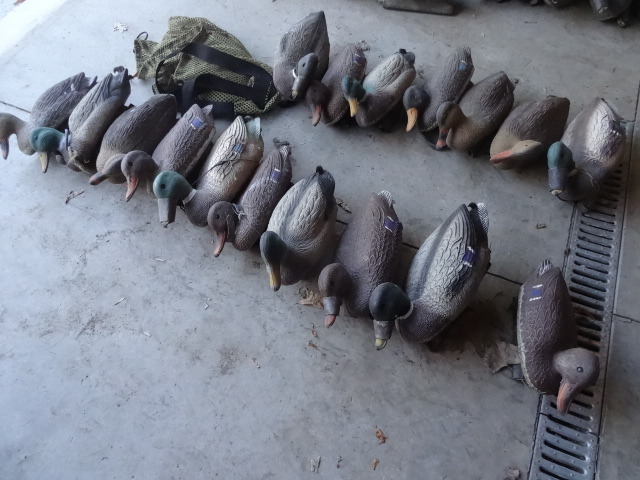 Duck decoys