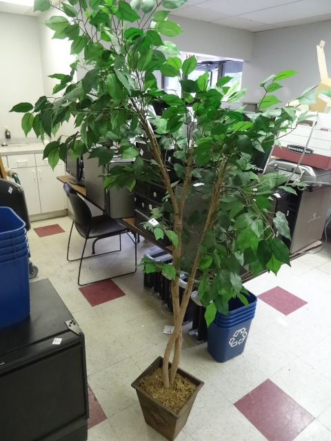 lot 81 image: Artificial Tree 80