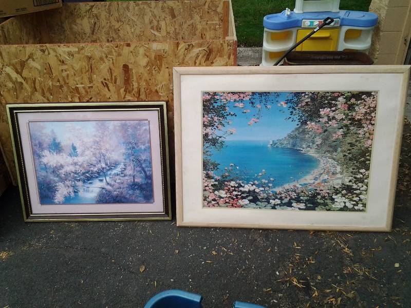 2-Floral Framed Art 21x35, 41x33