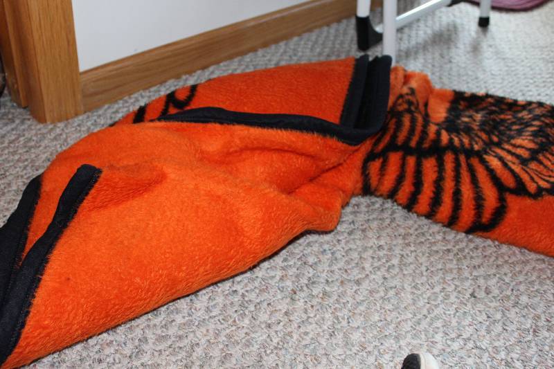 lot 40 image: Lot of (2) Harley Davidson Blanket & Pillow Case.