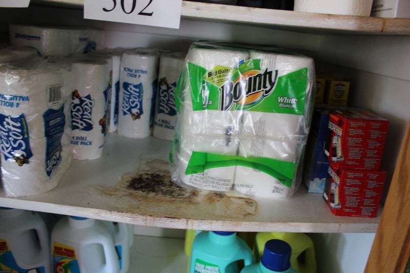 lot 504 image: Shelf Lot Including Bounty Paper Towels Oil Filters And More.