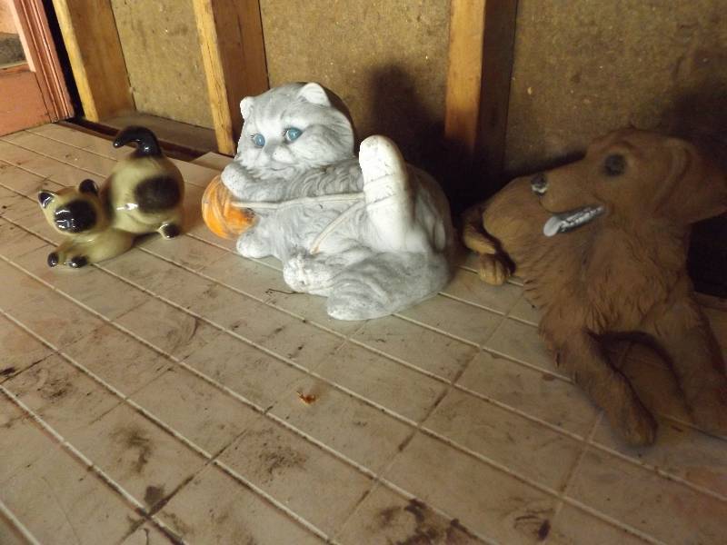 Dog and Cats