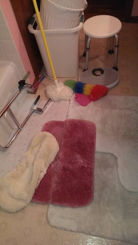 Bathroom rugs, garbage cans, scale, shower stool, safety rail, dusters