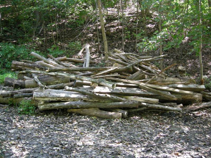 lot 12 image: Large pile firewood
