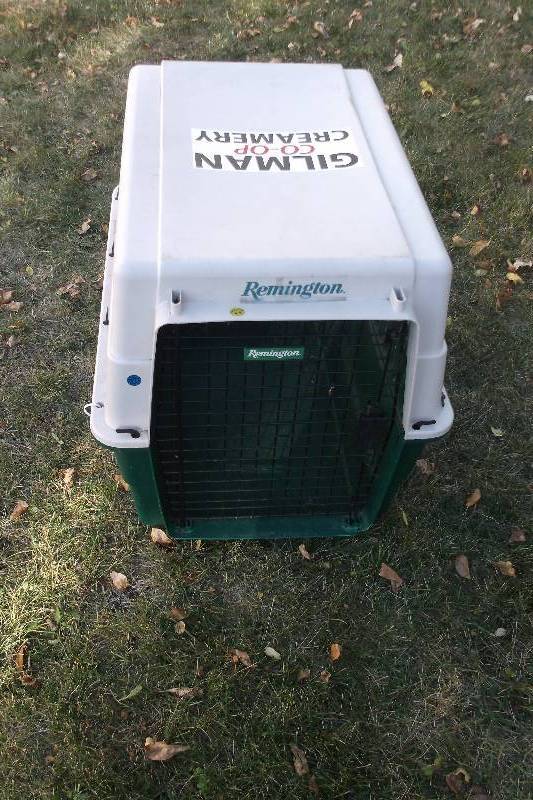 Kennel