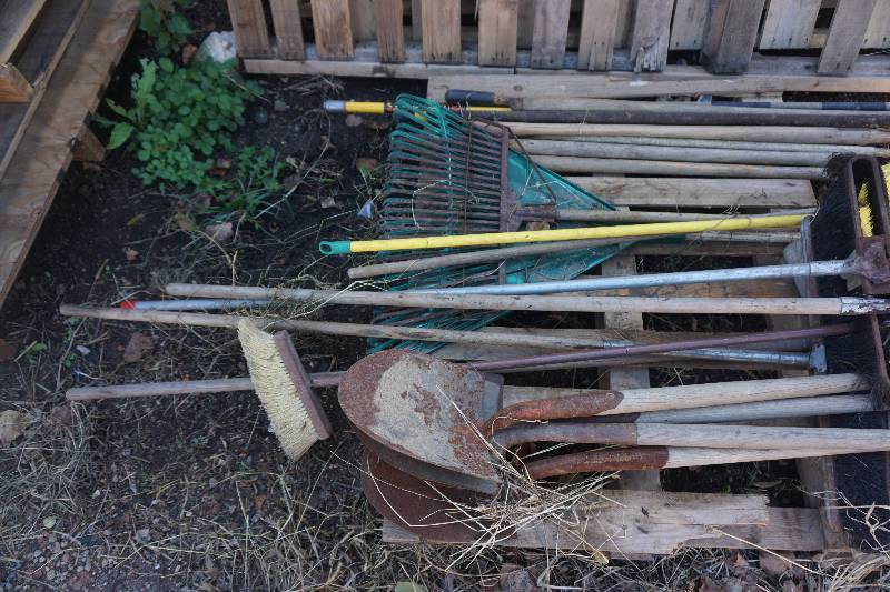Large Lot of Shovels, Rakes, and Extension Handles
