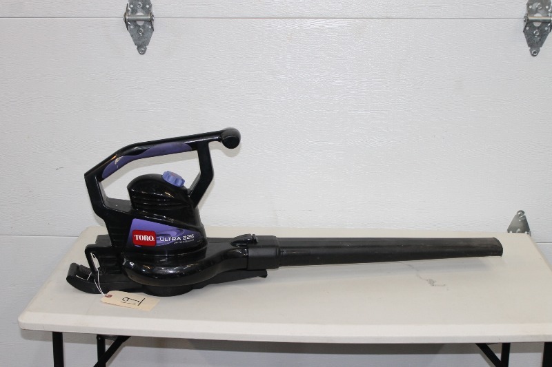 lot 19 image: Toro Leaf Blower