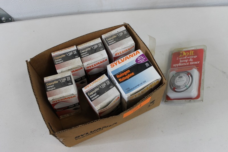 lot 21 image: Light Bulb Assortment and Timer