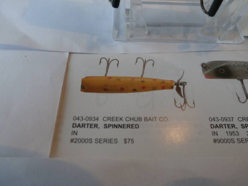 lot 20 image: Darter Creek Chub