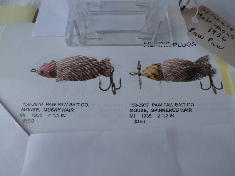 lot 28 image: Paw Paw - Spinnered Hair Mouse