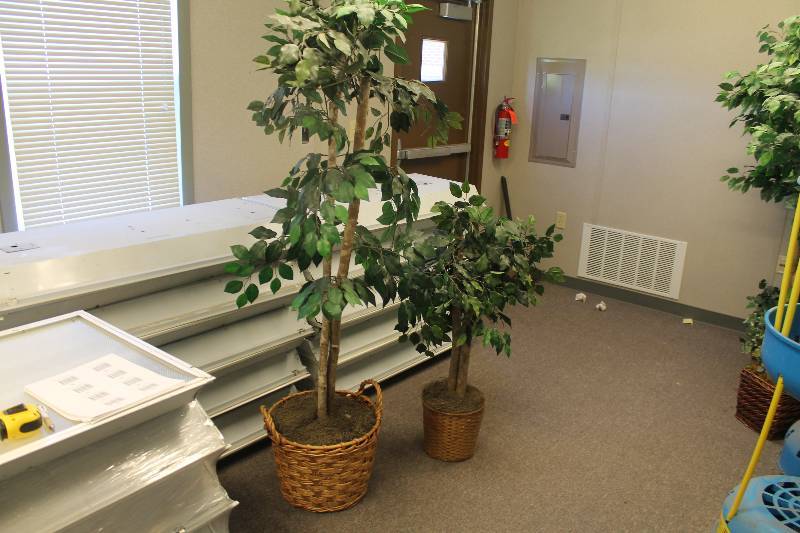 lot 53 image: Artificial potted Plants  Trees