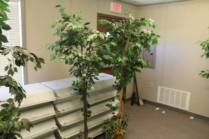 lot 54 image: Artificial potted Plants  Trees