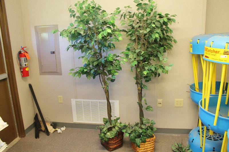 lot 55 image: Artificial potted Plants  Trees