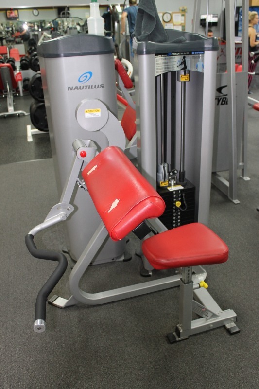 Biceps Curl
